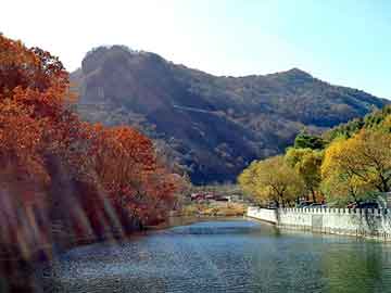 韩国京畿道新旅行守则实施，放飞心灵，禁止朝朝传单飞越边境