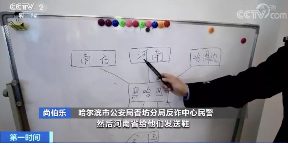 网店售假窝点被捣毁，打击假货的力量与正义的幽默