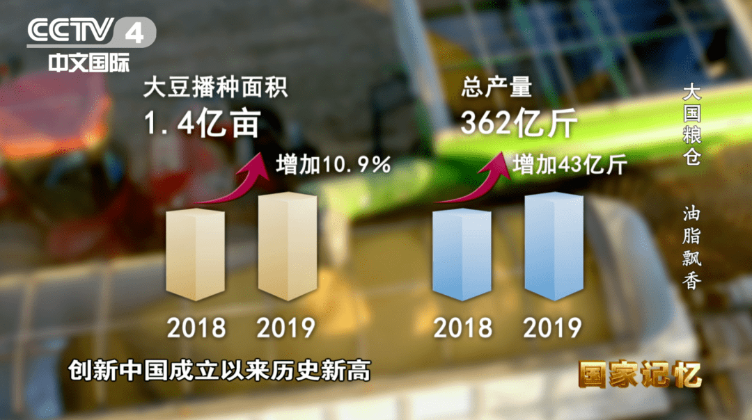 大国粮仓成绩单解读，丰硕成果与观点分享