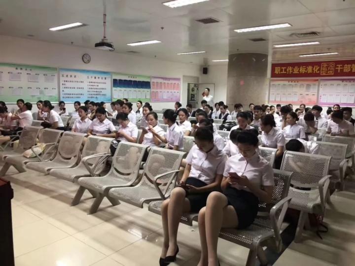 人才市场最新招聘信息全面解析，最新招聘信息概览与求职指南