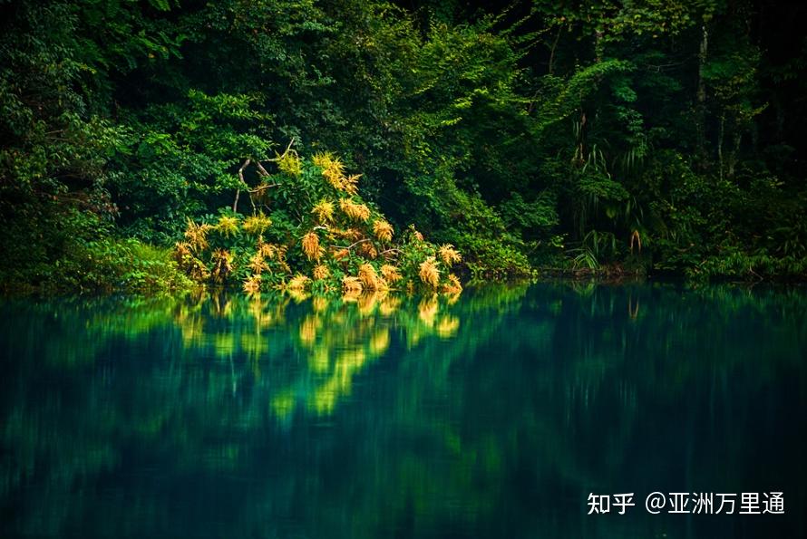 走进自然美景，探寻内心平和与快乐的最新中文之旅
