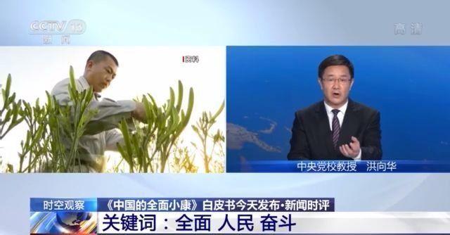 中国最新成就概览与观点阐述