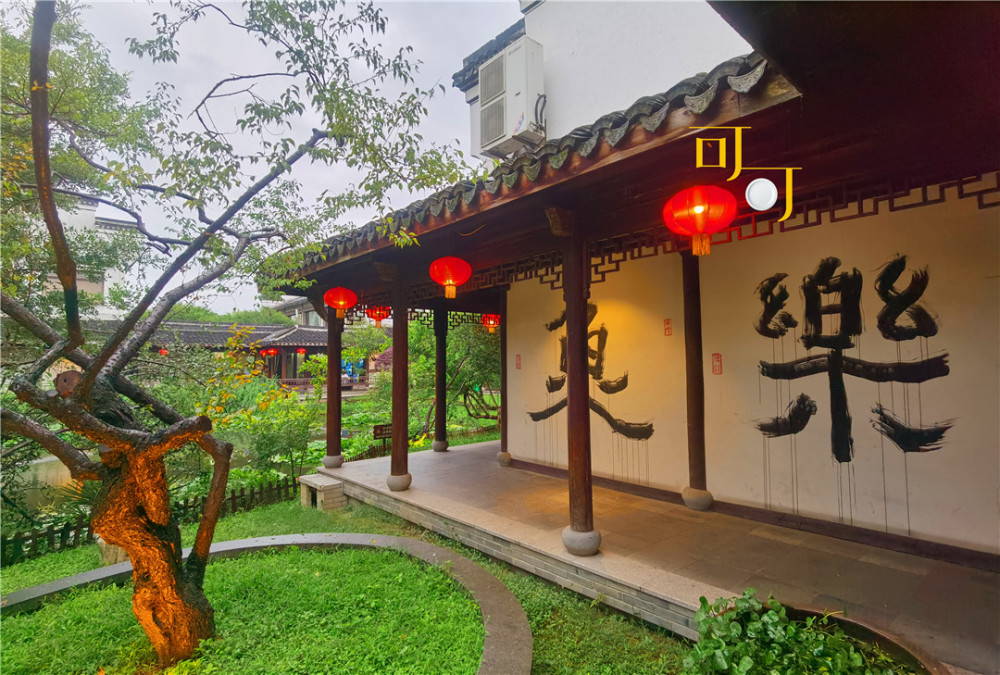 云联惠最新动态，小巷特色小店展现独特魅力