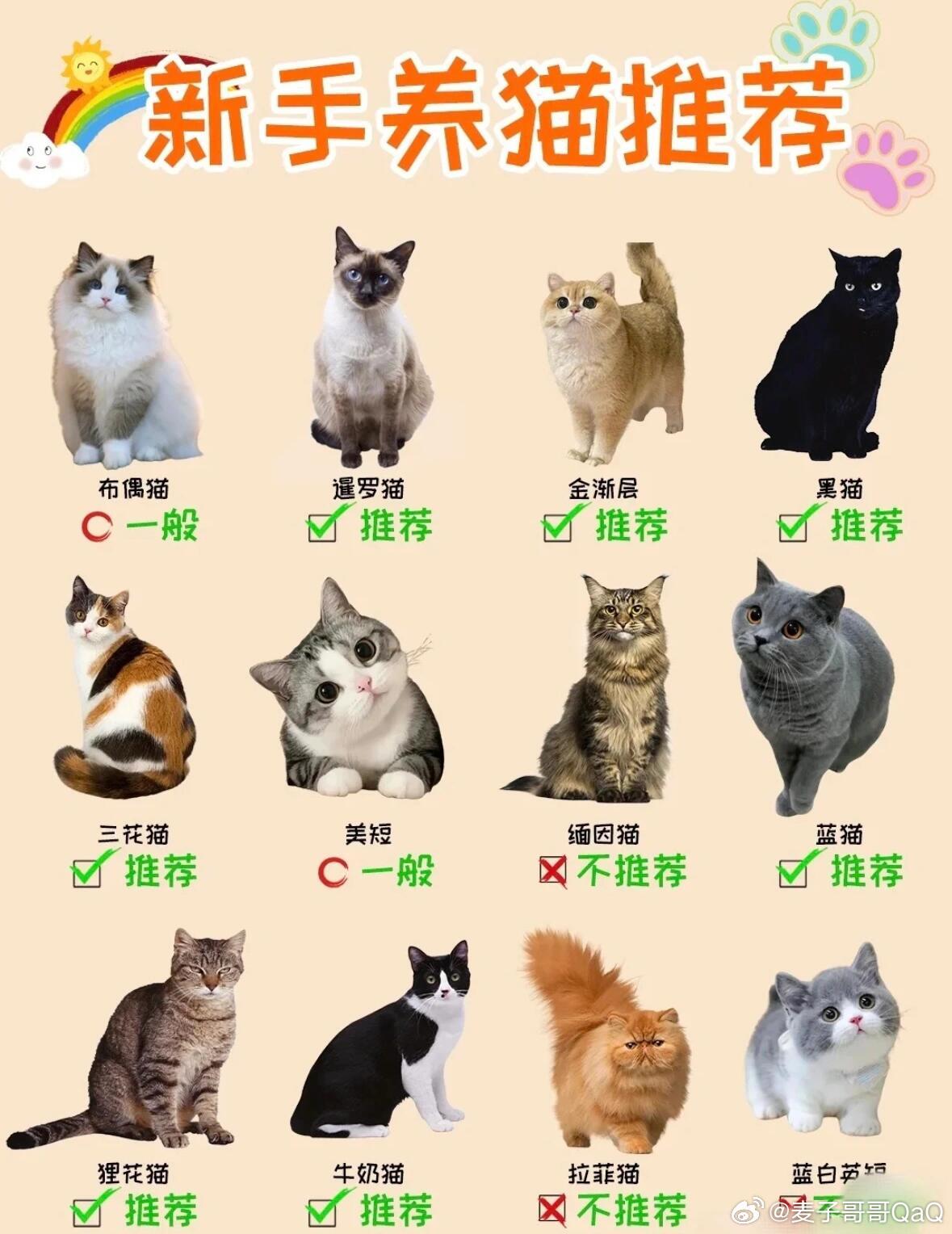 观点论述 第8页