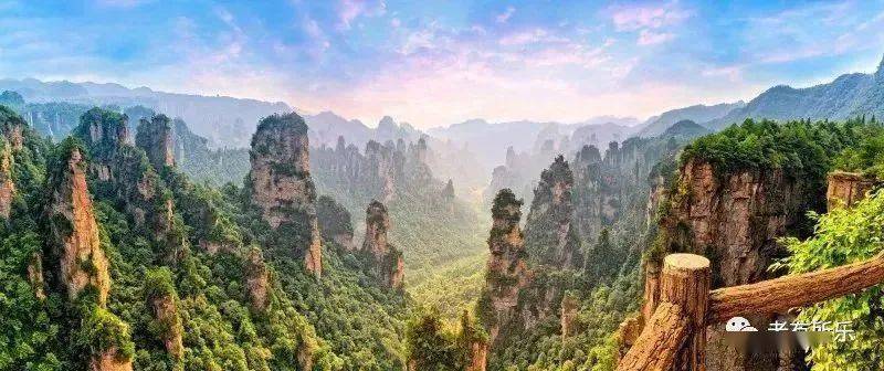 最新电影网站免费观赏，自然美景的心灵之旅