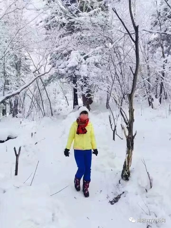 红雪最新版，雪中温馨日常