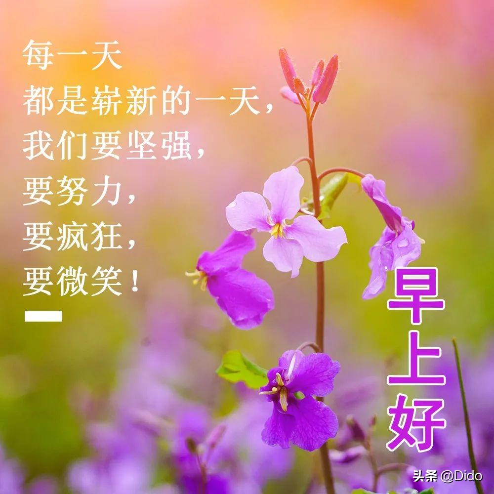 最新迅雷会员账号共享，探索自然美景，启程内心平静之旅