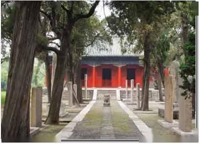 曲阜问政平台最新问政，探索自然美景之旅，寻找内心平和的旅程