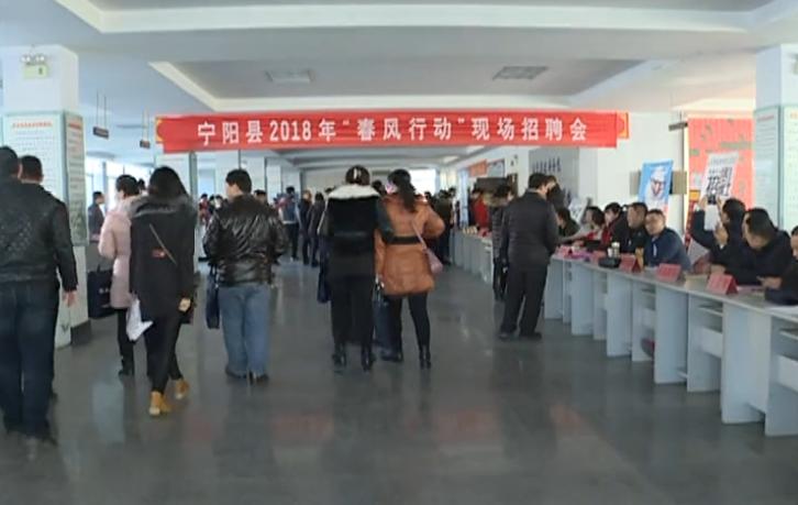 宁阳最新招工信息全面概览