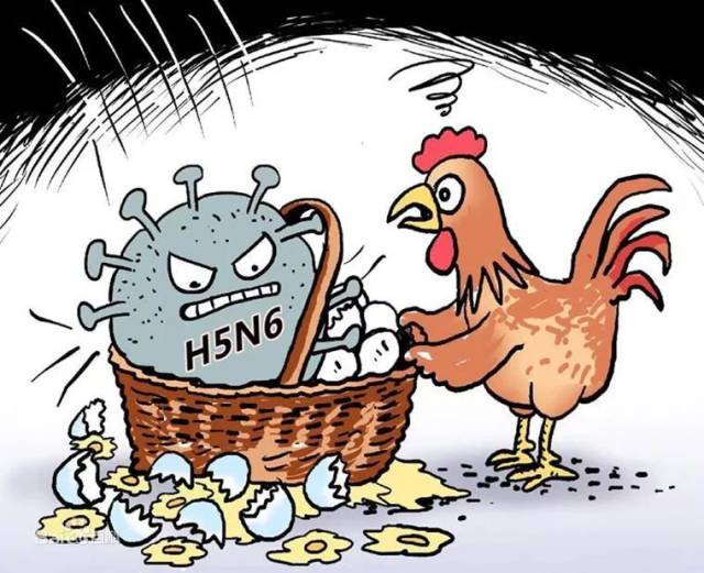 福建H7N9最新动态及预防应对措施指南（初学者与进阶用户皆适用）