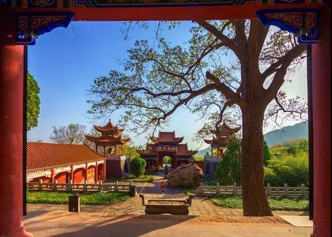 泰安最新工厂招工，轻松探索自然美景的旅程