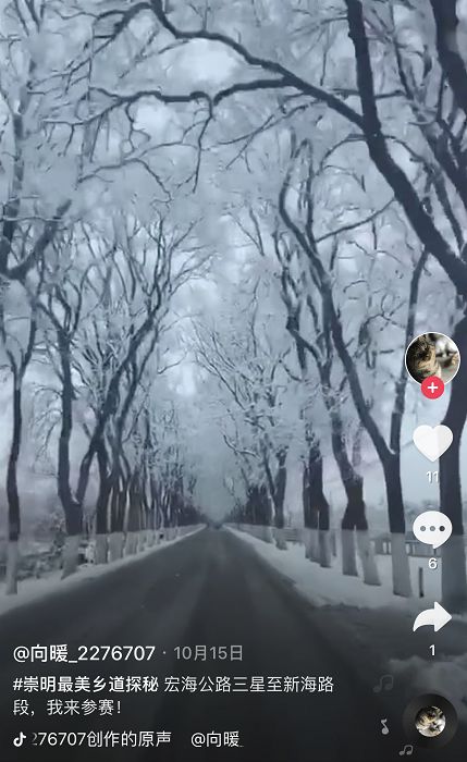 抖音热歌榜，跟随旋律探寻自然美景，内心平和之旅启程
