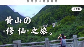 最新掌阅破解版，自然美景的心灵之旅启程