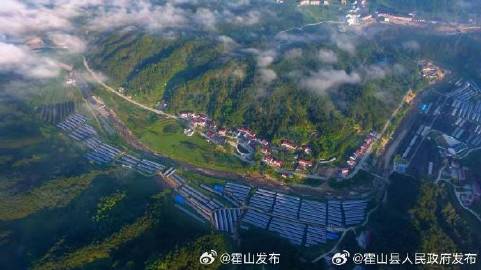 霍山最新通报，日常趣事中的爱与陪伴