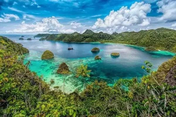 最新好运卡，自然美景探险之旅，寻找内心平和与喜悦的旅程