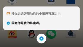 最新吕小布科技产品全面介绍