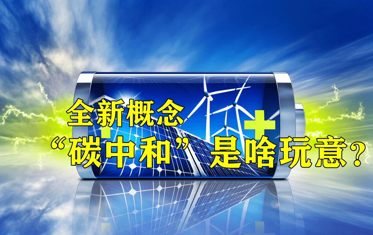 派思股份最新消息,派思股份最新消息与温馨日常故事