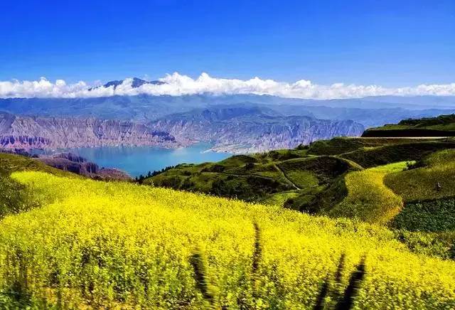 国家对种植牙最新政策，与自然美景对话的旅行启示