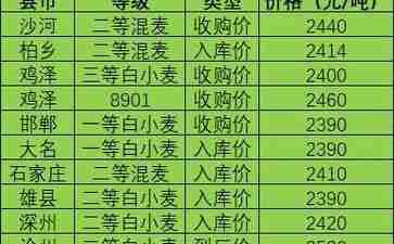 山东地区今日小麦最新价格深度探讨，最新行情分析揭秘！