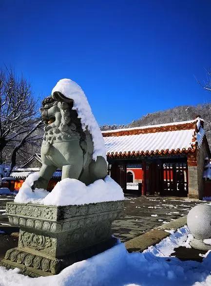 探索自然美景，寻找内心平静，避开肺炎疑似病例的最新焦虑之旅