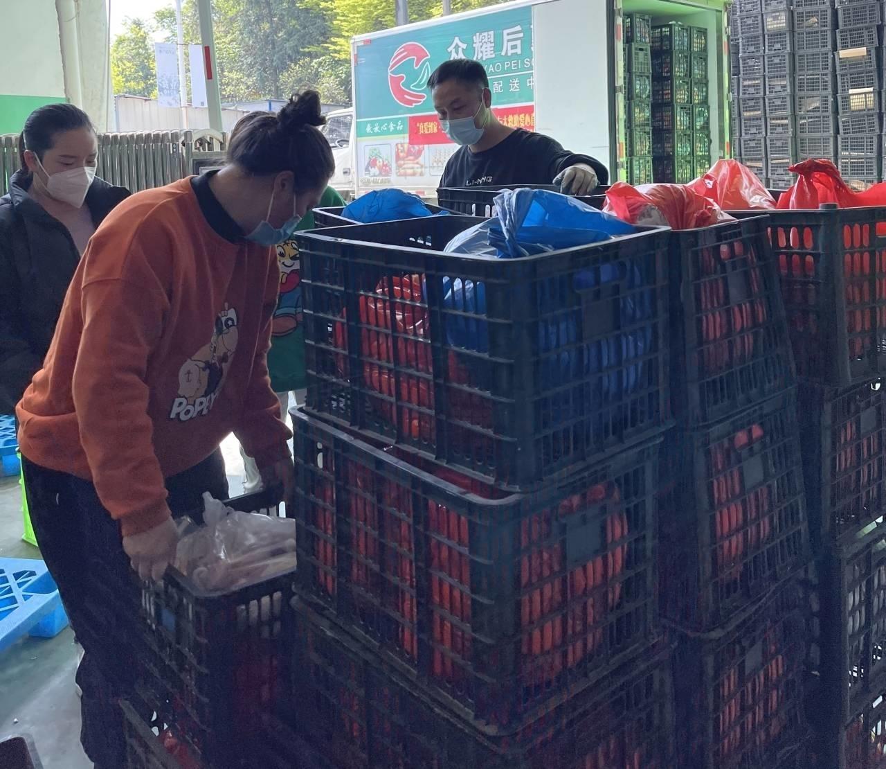 伊朗冠状肺炎最新动态与巷弄深处的独特风味揭秘
