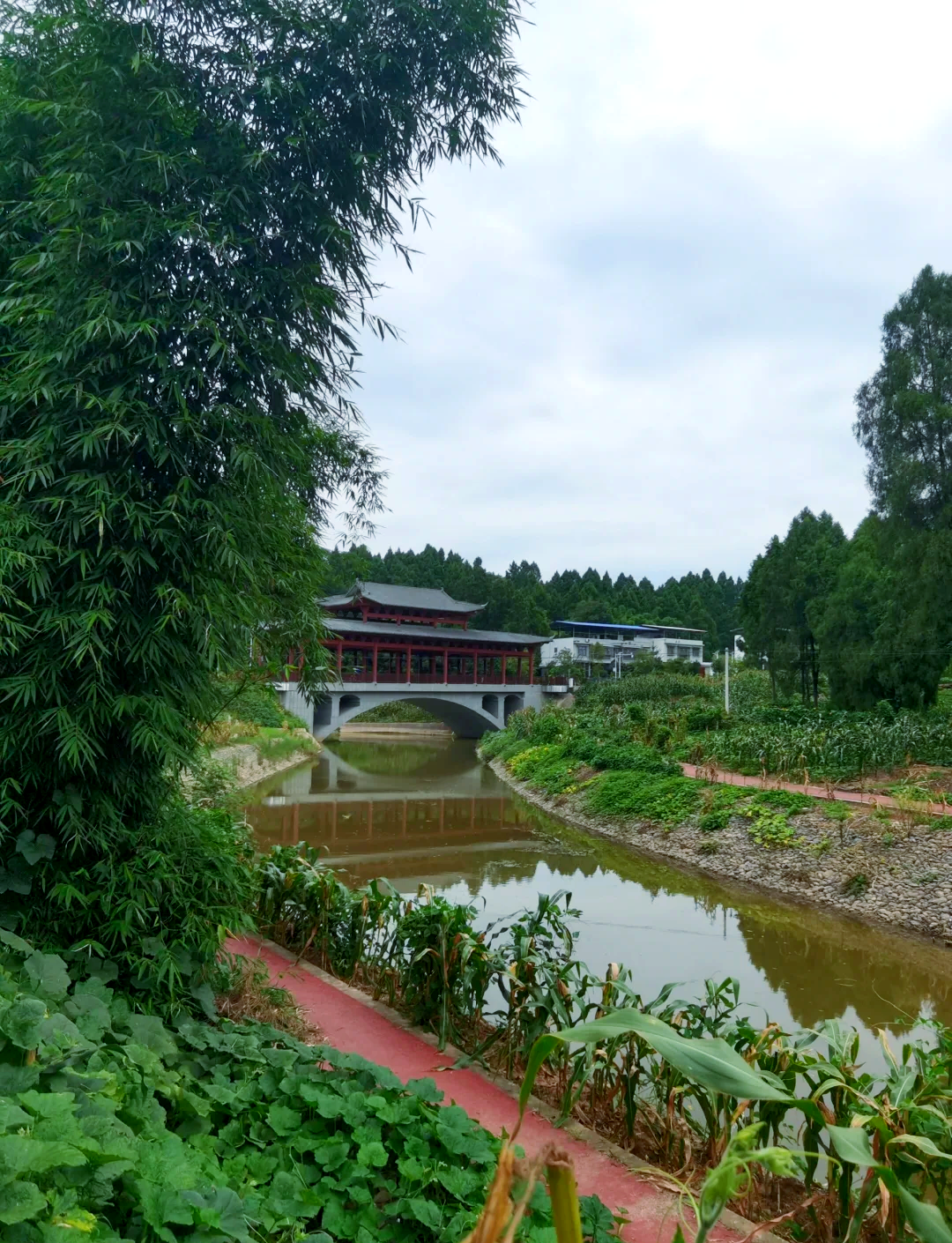 乐至县自然美景探索之旅