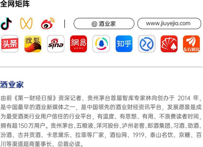 椰族部最新域名解析，前沿科技探索之旅