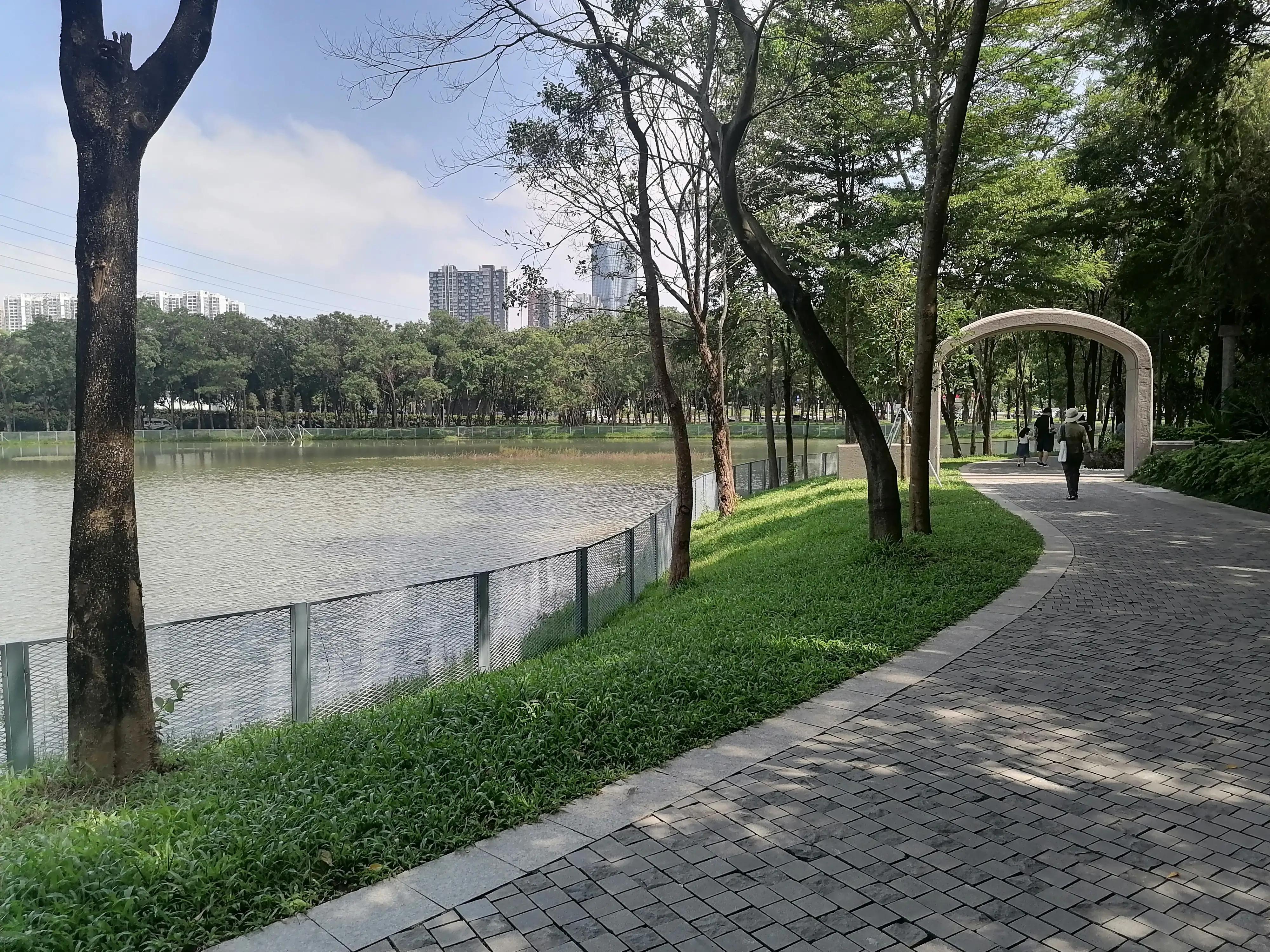 荷兰花卉小镇最新动态概览