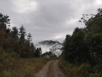 探索自然美景之旅，野野暖浦最新之旅，寻找内心的平和宁静