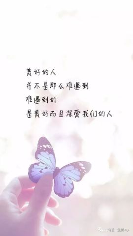 友情小记中的温馨日常，最新动态分享与友情时光记录