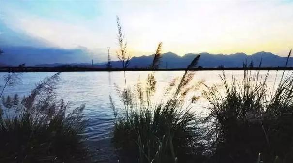 探索自然美景，寻找内心平和之地，最新美图分享