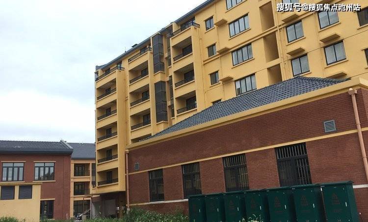 定州城市发展最新动态，脉搏与热点解析