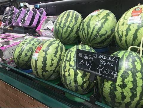 西瓜价格最新行情动态更新🍉