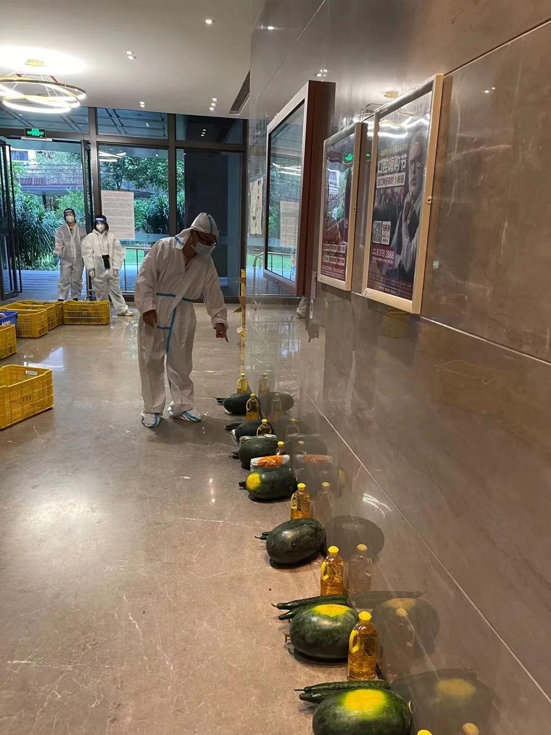 病毒起源最新揭秘，自然美景中的探险之旅，探寻内心平和与宁静的奥秘