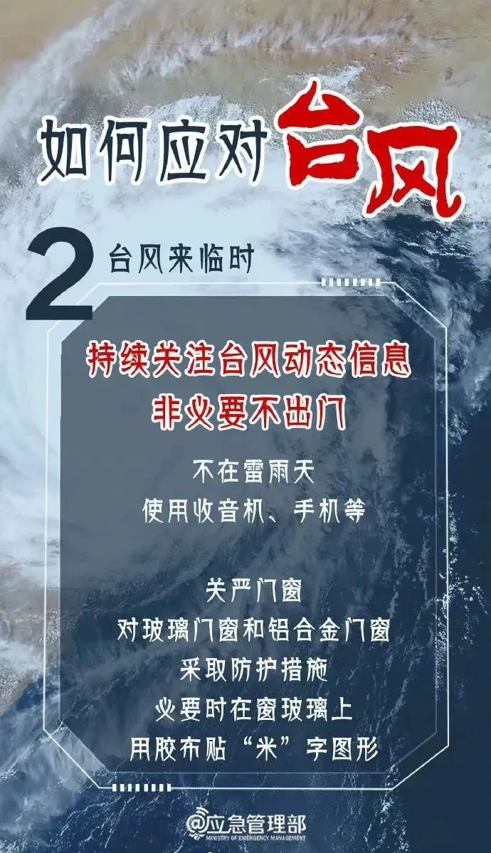 疫情最新动态，背景、影响与时代印记