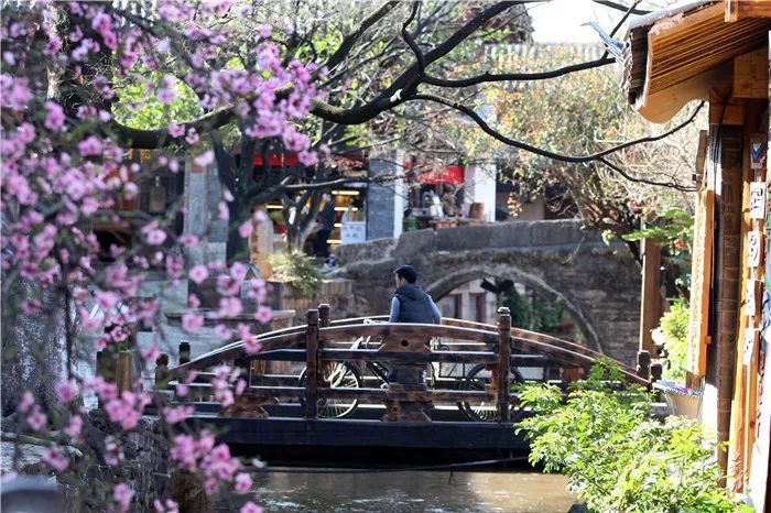 存货管理最新动态与自然美景的治愈之旅