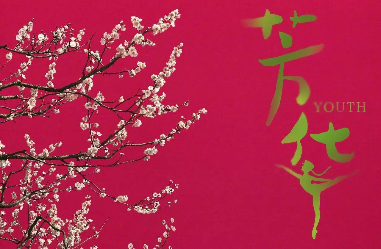 盛世芳华，高科技产品重塑生活，引领未来潮流新篇章