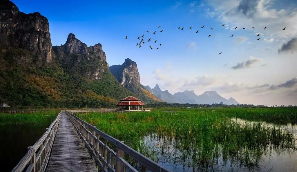 Pans最新探索，自然美景的心灵之旅，寻找内心的平和与宁静