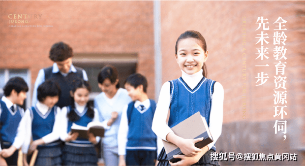新型最新型的观点阐述与深度解析
