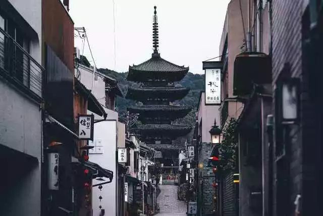 点阅最新版，小巷深处的独特风味探索