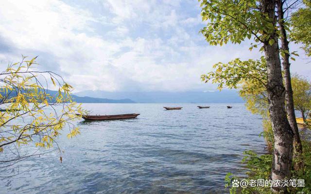 探索自然美景的轻松之旅，最新530ip体验分享