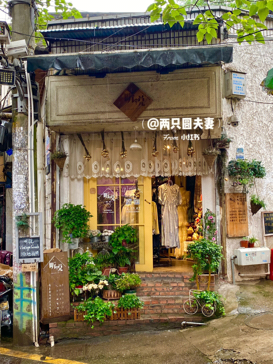 揭秘最新版APP，巷弄深处的独特小店探索之旅