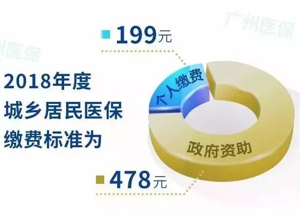 医保缴费查询最新更新，自然美景的心灵之旅
