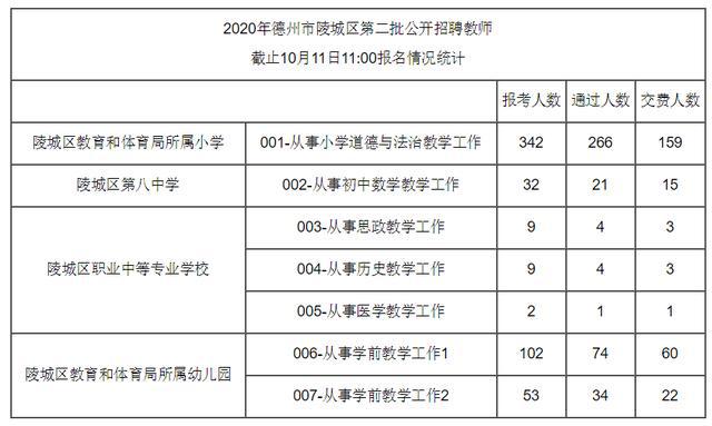 陵县最新职位招聘全面解析，观点阐述与深度分析