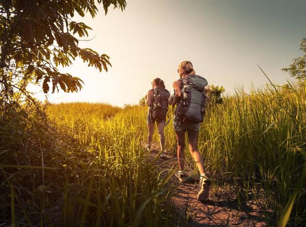 自然美景的心灵之旅，草民电影免费观看体验