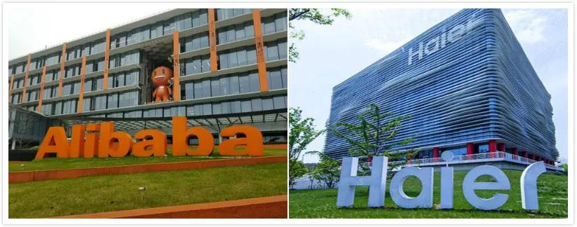 运动比赛的启示，自信、成长与无限可能在结束之际绽放光彩