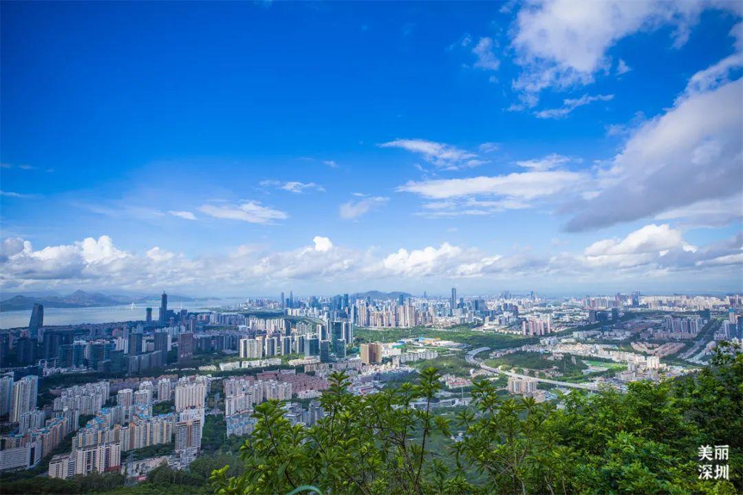 深圳最新摇号，自然美景探索之旅启动
