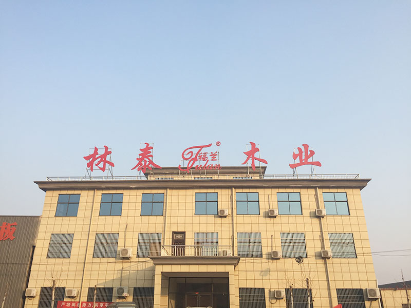 冀林木业最新动态🌟