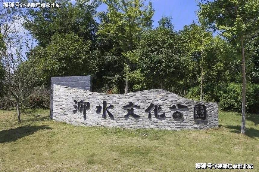 最新培训标准深度解析与观点阐述，全面探讨与阐述