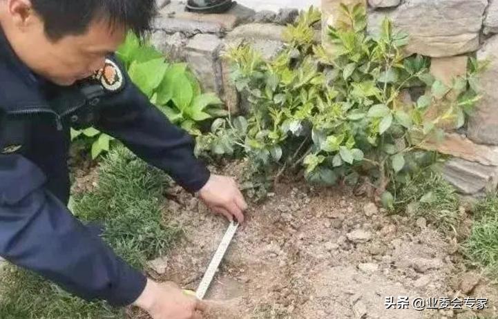最新公务员条例下的自然美景探索之旅